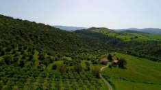 Foto - Una Parte o il Tutto -