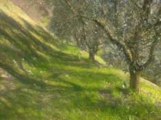 Foto 1 LOTTO DI TERRENO AGRICOLO