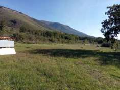 Foto 1805BIS/MIGNANO Terreno agricolo in piano di mq 55.000 a Mignano Monte Lungo. Il terreno  fertile ed ha ottime potenzialit  di coltivazione