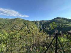 Foto 4 o pi Locali in Vendita, 4 Locali, 70 mq, Apricale