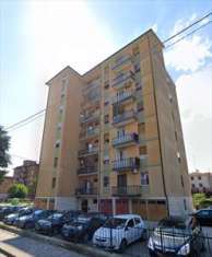 Foto 4 o pi Locali in Vendita, 5,5 Locali, 84 mq, Carpi