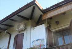 Foto 4 o pi Locali in Vendita, pi di 6 Locali, 835 mq, Gatteo (Gatt