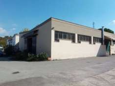 Foto A1 Certosa capannone in vendita