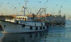 Foto Abbigliamento in vendita a Rimini