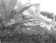 Foto Abitazione di tipo civile di 161 mq  in vendita a Montauro - Rif. 4525653