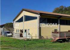 Foto Abitazione di tipo economico in vendita a Garbagna - Rif. 4517228