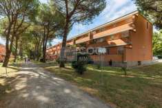 Foto ACCOGLIENTE APPARTAMENTO CON TERRAZZO IN PEDAGNA, IMOLA