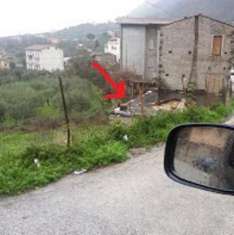 Foto affitto magazzino