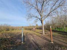 Foto Agricolo in Ciccarelli