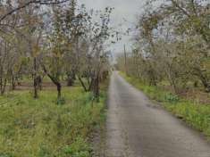 Foto Agricolo in Localit  Poverello