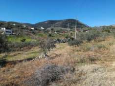 Foto Agricolo in SP126