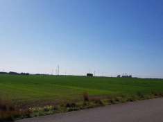 Foto Agricolo in Strada Comunale 29