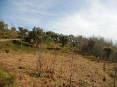 Foto Agricolo in Strada Comunale Crozzanello-Santa Maria