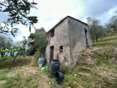 Foto Agricolo in vendita a Arcola