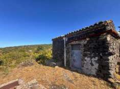 Foto Agricolo in vendita a Belpasso
