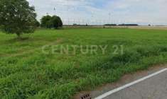 Foto Agricolo in vendita a Bevilacqua