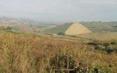 Foto Agricolo in vendita a Borghi