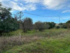 Foto Agricolo in vendita a Caltanissetta