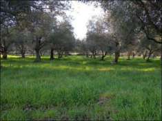 Foto Agricolo in vendita a Canicattini Bagni