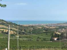 Foto Agricolo in vendita a Colonnella