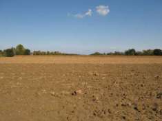 Foto Agricolo in vendita a Falconara Marittima