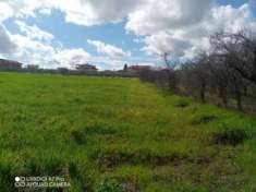 Foto Agricolo in vendita a Fossacesia