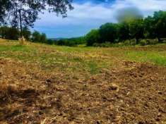 Foto Agricolo in vendita a Jesi