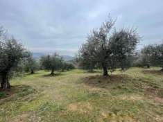 Foto Agricolo in vendita a Magione