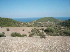 Foto Agricolo in vendita a Mattinata