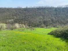 Foto Agricolo in vendita a Medesano