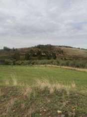 Foto Agricolo in vendita a Motta Sant'Anastasia