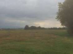 Foto Agricolo in vendita a Noceto