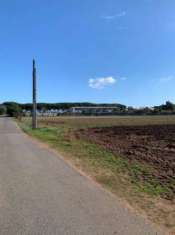 Foto Agricolo in vendita a San Felice Circeo
