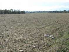 Foto Agricolo in vendita a San Sperate