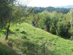 Foto Agricolo in vendita a Sarzana