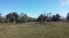 Foto Agricolo in vendita a Siracusa