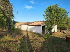 Foto Agricolo in vendita a Siracusa