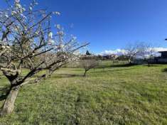 Foto Agricolo in vendita a Valsamoggia