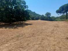 Foto Agricolo in Via Carpella