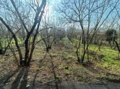 Foto Agricolo in Via Carpinelli