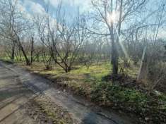 Foto Agricolo in Via Carpinelli