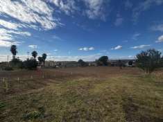 Foto Agricolo in Via Colle Nocello