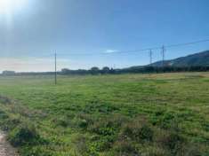 Foto Agricolo in Via degli Emigranti