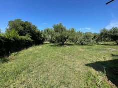 Foto Agricolo in Via degli Spalletoni
