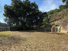 Foto Agricolo in Via dei Cigni