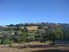 Foto Agricolo in Via del Basso