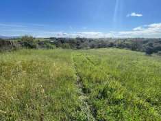 Foto Agricolo in Via della Pescarella