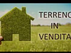 Foto Agricolo in Via Ferrari Satrano