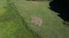 Foto Agricolo in Via Fossignano