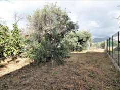 Foto Agricolo in Via Giovanni Guareschi